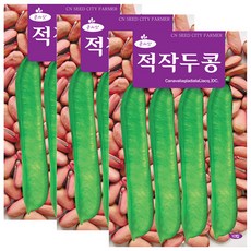 세인화분 적작두콩 10립 - 국산 작두콩 콩씨 콩씨앗, 3개 3개
