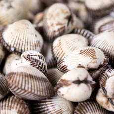 벌교 새꼬막 3kg 소, 상세페이지 참조