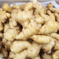 [오늘의 아시아푸드] 싱싱생강1k. 중국성쟝, 1개, 1kg