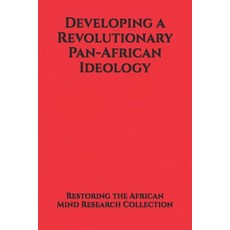 (英文圖書)Developing a Revolutionary Pan-African Ideology 平裝版, Independently Published, 英文
