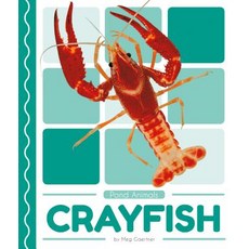 Crayfish Library Binding, Pop!, English, 9781532162060