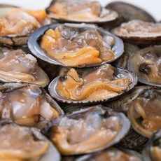 [오늘의바다] 남해안 문어바지락 1kg, 1개