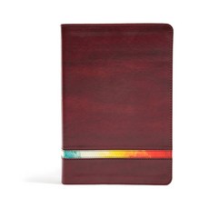 (영문도서) NIV Rainbow Study Bible Maroon Leathertouch Imitation Leather, Holman Bibles, English, 9781433646096