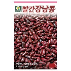 [팜앤리빙] 적강낭콩 씨앗 30g 비넝쿨 빨간강낭콩 홍대, 1개