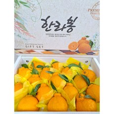과일천국1번지 제주 한라봉5kg 프리미엄 선물용, 1개