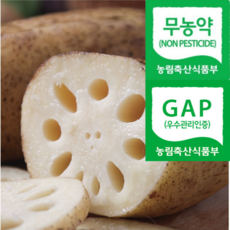 [명품농장직송] 농약안심 천연퇴비 세척연근 통연근, 1박스, 1kg(특품)