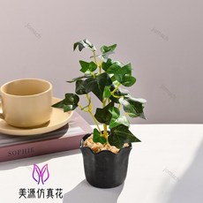 仿真綠植小盆栽 仿真綠蘿 芋葉 爬山虎 仿真植物盆景 辦公室綠植 假綠植 客廳書房假綠植擺件辦公桌面裝飾品, 4640   仿真綠植小盆栽（塑料花盆）, 1個