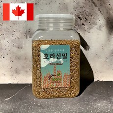 고대곡물 호라산밀의 본고장 캐나다산 호라산밀 햇호라산밀 100%, 1개, 1kg(용기)