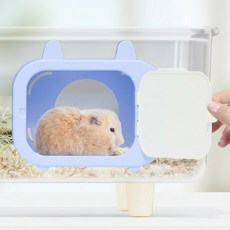 DQmall TV관찰존, 1개, 블루