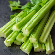 향긋하고 아삭한 샐러리, 1개, 600g