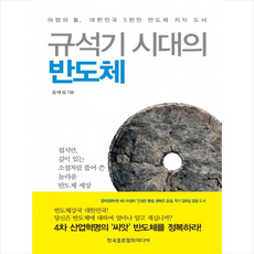 규석기 시대의 반도체 + 미니수첩 제공, 김태섭
