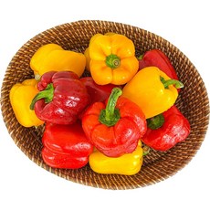 농가살리기 가정용 못난이 파프리카 (사이즈/색상랜덤), 1박스, 1kg