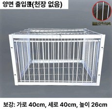 비둘기 포획 케이지 암호화 철망 함정 새장 철제 새망, 40 x 40x26 2구 출입구 천창 없음