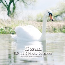 Swan 8.5 X 8.5 Calendar September 2021 -December 2022: Monthly Calendar with U.S./UK/ Canadian/Chris... Paperback, Independently Published, English, 9798717540261