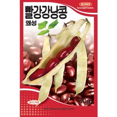 세인화분 국산 왜성 빨강 강낭콩 30g - 씨 씨앗 콩씨앗 콩씨, 1개