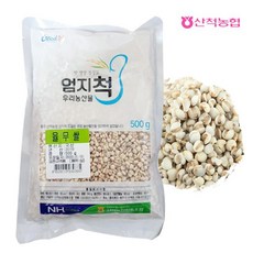 충주산척농협 엄지척잡곡 율무, 1개