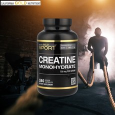 CGN 크레아틴 모노하이드레이트 750mg 240캡슐, 1개, 240정
