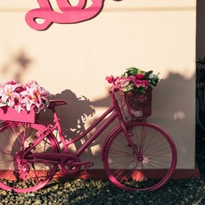 스노윅 비자림 러브미 프래그런스 오일 100ml, 1개