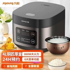 스틸 저당밥솥 탄수화물 드림블루 밥솥 4L일반밥솥 당관리, B. 그레이 F3364L