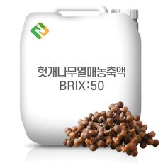 헛개나무열매농축액 50Brix 200g 샘플, 1개