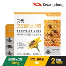 광동제약 프로폴리스 아연 36g, 60정, 1개
