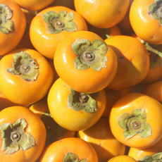 경상남도 단감 10kg 달콤 아삭 신선한 부유 단감 특/대/중/소과 10kg [대현농산], L 대과 (41-46과), 1박스, L 대과 (41~46과)