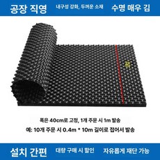 블루베리 원예 텃밭 과수원용, 1개