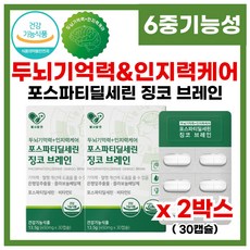 노화로 인한 기억력 인지력 개선 도움 케어 식 약 처 기능성인정 두뇌기억력 6중기능성 은행잎 PS 비타민E 피부 보습 건강 유지, 2박스