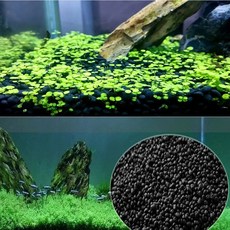 1 팩 수족관 장식 물 잔디 쉬운 식물 신속하게 조경 물고기 탱크 배경 액세서리, Small pair leaves10g