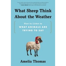 (영문도서)What Sheep Think about the Weather: How to Listen to What Animals Are Trying to Say Paperback, Sourcebooks, English, 9781464218453