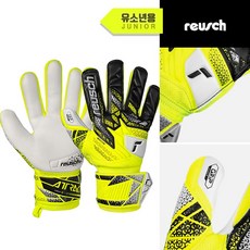 로이쉬 주니어 어트랙트 그립 GK글러브(5572815-2014), 1개