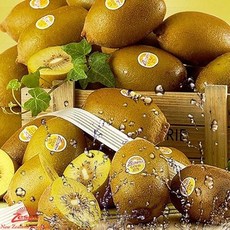 [점보사이즈]제스프리 골드키위 (8입 1.2kg내외 ), 없음