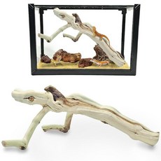 BNOSDM 파충류 가지 35.1cm(13.8인치) 뱀 등반 테라리움 나무 가지 장식 도마뱀 게코 카멜레온 개구리용 수염 드래곤 탱크 액세서리