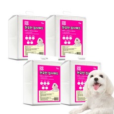 씨엔앨라이프 전국민 집사 배변패드, 4개, 100개입