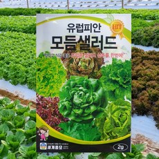 유럽피안모듬샐러드 2g 유럽상추씨앗, 1개