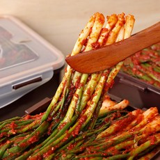 셰프애찬 통에담은 파김치, 1.5kg, 1개