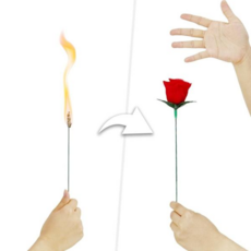 변하는 토치투로즈 초보 장미꽃으로 순식간에 불꽃이 JL매직 마술 도구 간단한, 본상품
