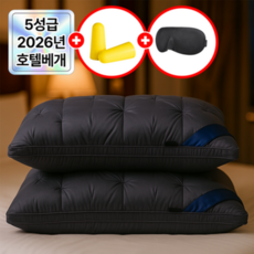 필모어 5성급 호텔 납품 프리미엄 베개 배게, 1개, 그레이스톤