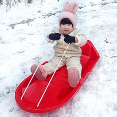 국산 등받이 눈썰매 2인용, 1개