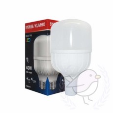 대양 글러브램프 40W 주광색, E39, 1개