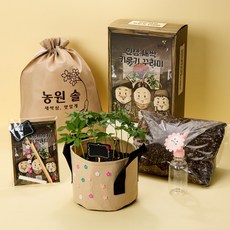 직접 키우는 새싹삼 재배키트 ( 묘삼 10 뿌리 ), 500g, 1세트