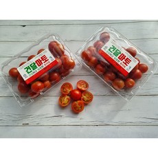 산지직송 프리미엄 건강하고 달콤한 건달마토스테비아 고당도 저칼로리 스테비아 방울 토마토 당일수확 선별후발송, 스테비아 방울 토마토   500g, 2개