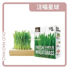 【DuoMaoMao】汪喵星球 貓草新鮮栽培盒﹝貓草﹞, 1個