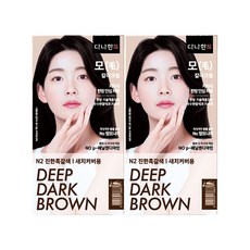 다나한 PPD없는 한방 새치 염색약, N2 진한흑갈색, 2개