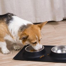 싸더라 애완견 반려동물 실리콘 스테인리스 2구 식기, 반려동물식기 화이트 소형, 1개