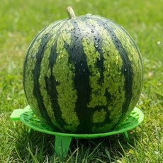 과일 보관 받침대 수박 거치대 주방 정리 용품 통풍 선반 신선도 유지 야채 보관대, 1개