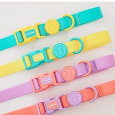 Bite Me XO 果凍色 寵物牽繩 - 免提防水設計 (部分現貨), 1個