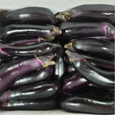 국내산 실속형 햇 가지, 1개, 못난이햇가지 1kg