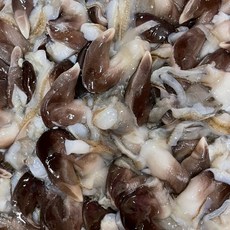 여수 손질 검정 새조개 특품 자연산 당일조업, 1박스, 500g