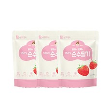 엄마가 선택한 순수딸기 3봉 기획, 20g, 3개